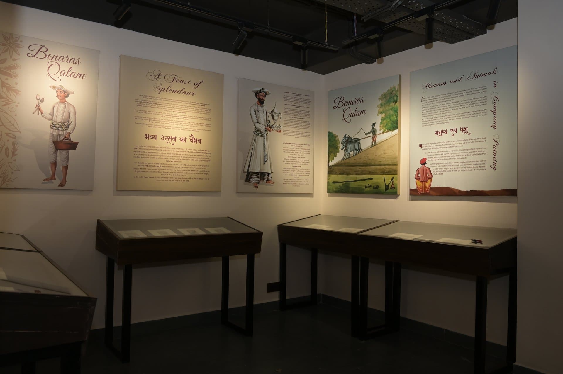 Museum gallery - Planet Patna